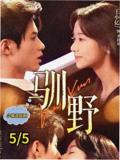 白鹿原 电视剧版 海报